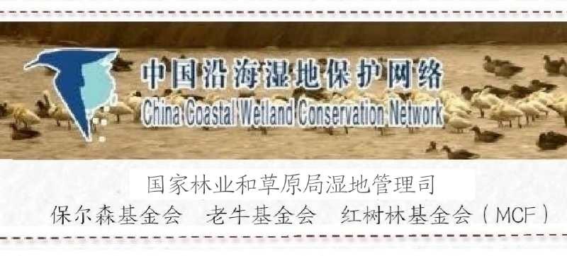 红树林banner